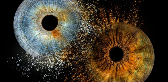 Фотографии радужек глаз в рамке