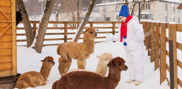 Билет на посещение фермы на ВДНХ «Городская ферма»