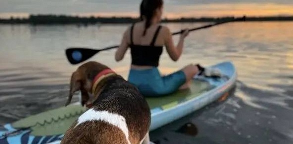 Прогулка на сапсерфе от компании Travel_sup
