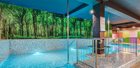 Посещение бани, бассейнов, джакузи в акватермальном комплексе «Термопарк»