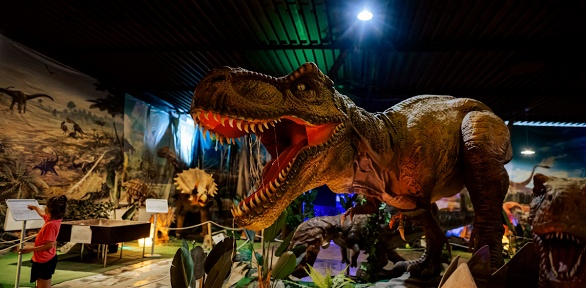 Билет на выставку динозавров «Динозавриум»