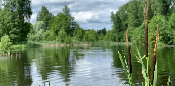 Отдых с 3-разовым питанием, посещением бани и купели на базе «Сафари Паркъ»