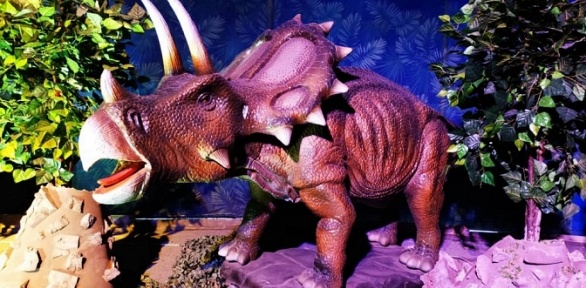 Удивительное приключение в «Парке динозавров» за полцены