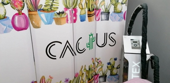 LPG-массаж и прессотерапия в салоне красоты Cactus