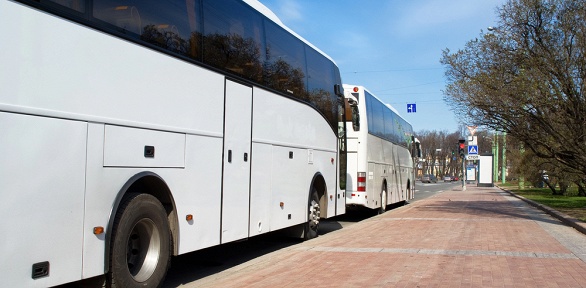 Тур «Пряный вкус Новогодней столицы» от компании «Невские сезоны»