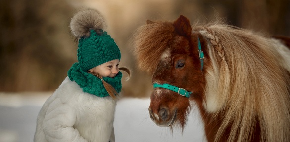 Прогулка верхом или романтическая прогулка от конного клуба «Красный бор»