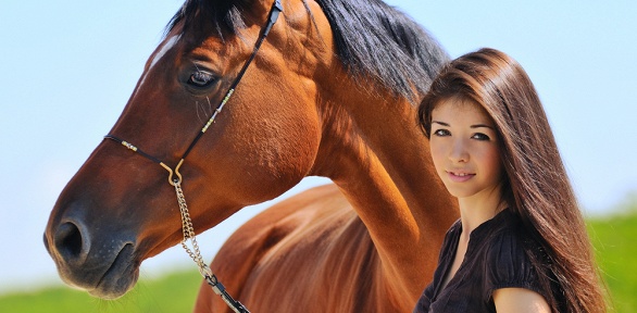 Конная прогулка или прогулка на пони в конюшне «Гвардия»