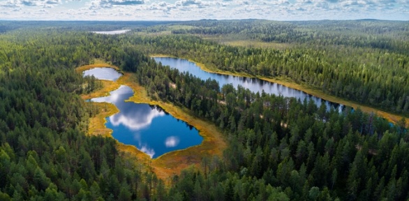 Тур в Карелию от компании Charm Travel