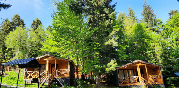 Отдых в горах в Архызе на базе отдыха Maas