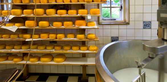 Экскурсия «Замок Шаакен и сыроварня Шаакендорф» от «Янтарный Кенигсберг»