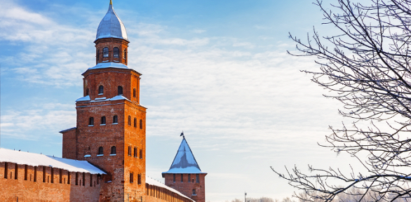 Экскурсионный однодневный тур в Великий Новгород от компании «Заря-19»