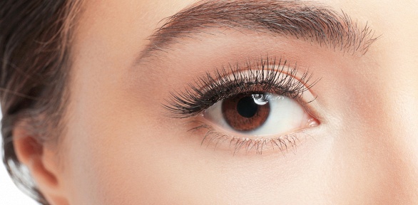 Архитектура бровей, уход за ресницами и бровями в бьюти-студии Like Me