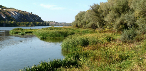 Экскурсия по городу «Ростов — город на-Дону»