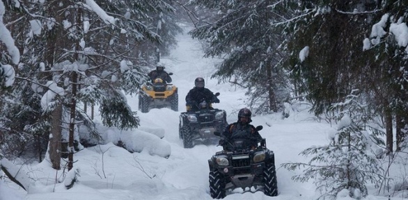 Прогулка на квадроциклах, мотоциклах и багги от компании «Мегапрокат»