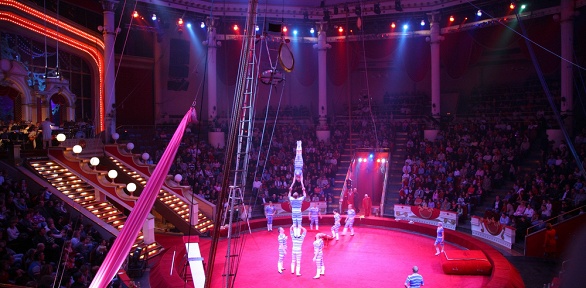 Билет на шоу «Восточная сказка» Максима Барахова в цирке «Феникс»