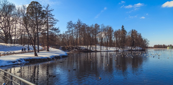 <b>Скидка 15%.</b> Билет на загородную экскурсию «Чеховское Мелихово и пушкинская Лопасня-Зачатьевское» от компании «Московиты» (3910 руб. вместо 4600 руб.)