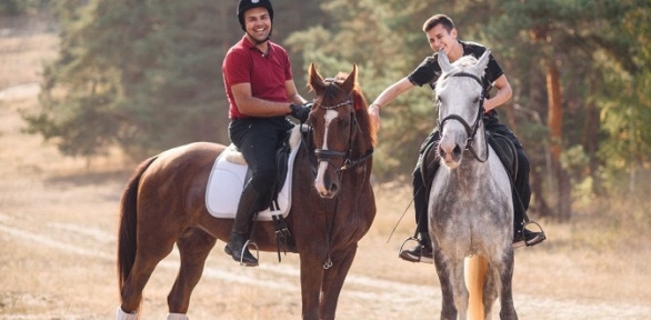 Катание на лошади в КСК «Ранчо» на базе ССК «Вайцеховский и сын»