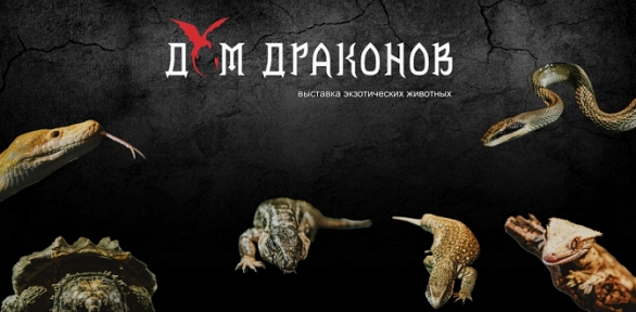 Билет на выставку экзотических животных «Дом драконов»