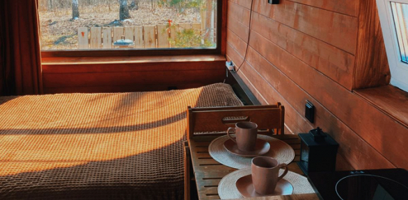 Отдых вдали от города в домике Lesnoy