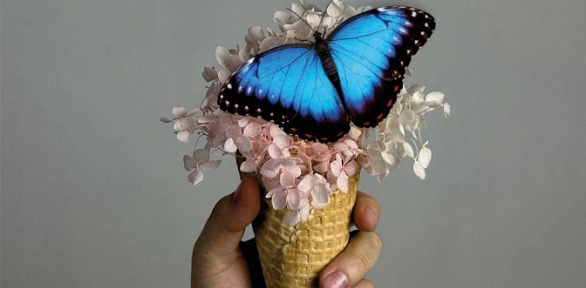 Экскурсия в парк живых тропических бабочек Kazan Butterfly Garden