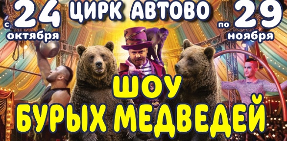 Билет на «Шоу бурых медведей» от «Цирка в Автово»