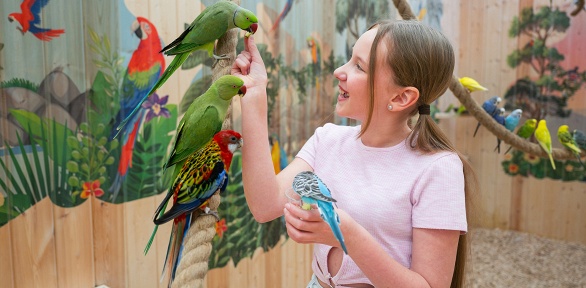 Билет на посещение пространства с ручными попугаями «Попугайня»