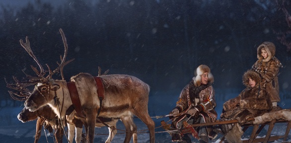 Билет на экскурсию к хаски с посещением музея и выставки от WalkService