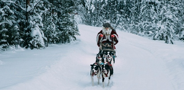 Тур «Новогодняя Карелия за 1 день» от туроператора Charm Travel