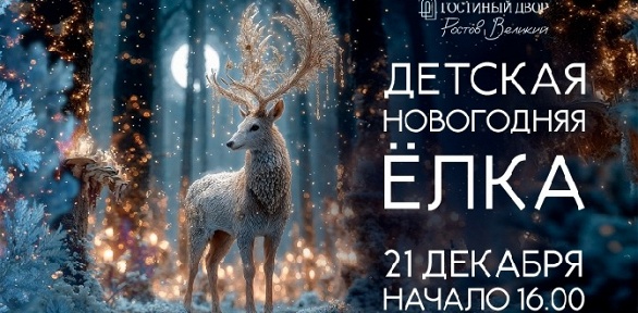 Посещение детской новогодней елки в «Гостином Дворе»