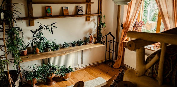 Отдых с дегустацией сыров в гостевом доме «Башкирская коза»