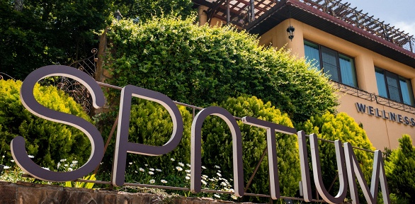 Отдых с питанием, посещением бассейна в центре Spatium Wellness Center