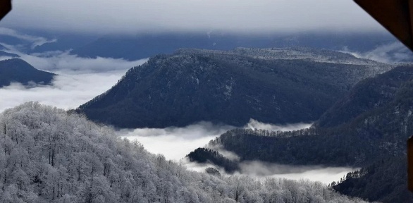 Тур «Рождество в Свято-Михайловском Афонском монастыре (мужской)»