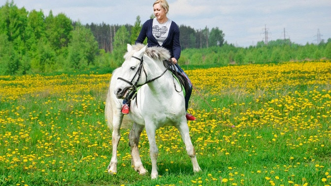 Фото Верхом В Поле