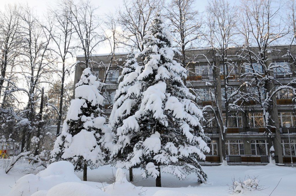 Зеленый город нижегородская область. Зеленый город Кстово. Детский санаторий в зеленом городе Нижегородской области. Санаторий зелёный город Нижегородская область зимой. К П зеленый город Нижний Новгород.