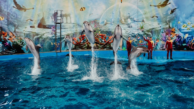 промокод в дельфинарий ривьера. Смотреть фото промокод в дельфинарий ривьера. Смотреть картинку промокод в дельфинарий ривьера. Картинка про промокод в дельфинарий ривьера. Фото промокод в дельфинарий ривьера промокод в дельфинарий ривьера. Смотреть фото промокод в дельфинарий ривьера. Смотреть картинку промокод в дельфинарий ривьера. Картинка про промокод в дельфинарий ривьера. Фото промокод в дельфинарий ривьера