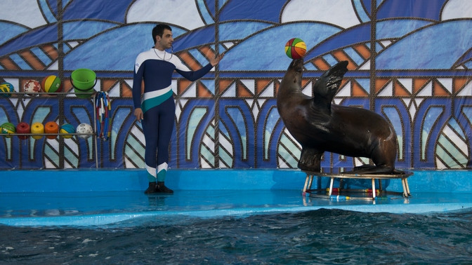промокод в дельфинарий ривьера. Смотреть фото промокод в дельфинарий ривьера. Смотреть картинку промокод в дельфинарий ривьера. Картинка про промокод в дельфинарий ривьера. Фото промокод в дельфинарий ривьера промокод в дельфинарий ривьера. Смотреть фото промокод в дельфинарий ривьера. Смотреть картинку промокод в дельфинарий ривьера. Картинка про промокод в дельфинарий ривьера. Фото промокод в дельфинарий ривьера